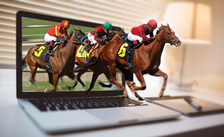 online gambling horse racing