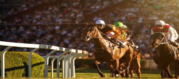 Indian horse racing betting